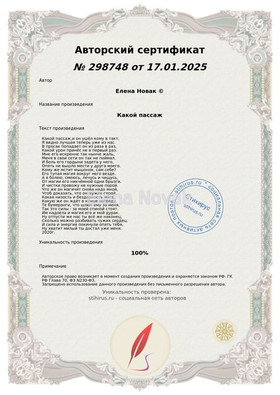 Какой пассаж Елена Новак Сертификат Стихирь 17.01.2025г.
