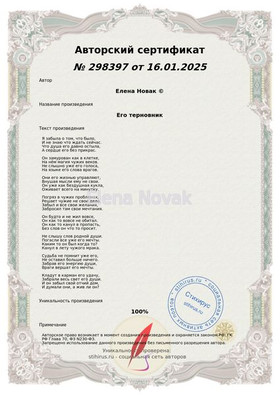Его терновник Елена Новак Сертификат Стихирь 16.01.2025г.