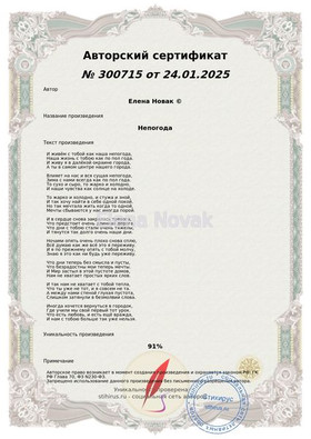 Непогода Елена Новак Сертификат Стихирь 24.01.2025г.