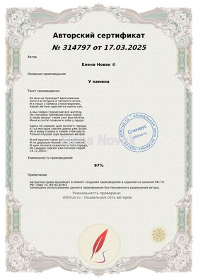 У камина Елена Новак Сертификат Стихирус 17.03.2025г.